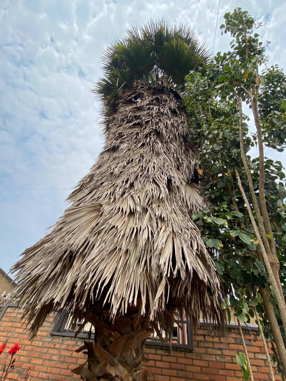 Bizi Homes Kigali Luaran gambar